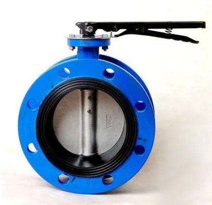 Medium Temperature Double Flange Metal Seated Butterfly Valve