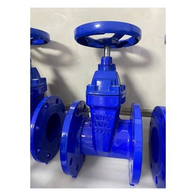 Customized Dutile Iron Flanged Soft Seal Py16 Gate Valve with Manual Operated Function
