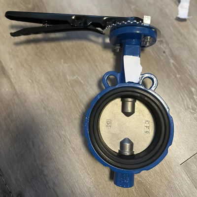 Stainless Steel Butterfly Valve for FMC Lug Type Customized and Supported by OEM Support