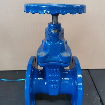 Temperature of Media High Temperature Control Water PN20 Sewage Gate Valve