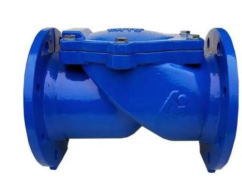 Medium Temperature DN100 Pn16 Asin Cast Iron Rubber Flapper Check Valve for OEM Support