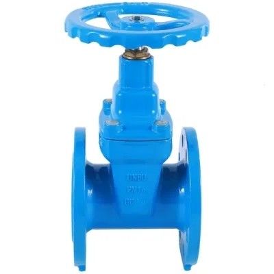 Water Control Stainless Steel Air Release Valve with Customizable Software Support