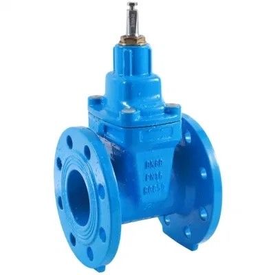 Water Control Stainless Steel Air Release Valve with Customizable Software Support