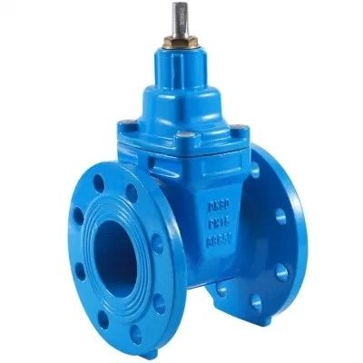 Water Control Stainless Steel Air Release Valve with Customizable Software Support