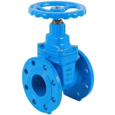 Water Control Stainless Steel Air Release Valve with Customizable Software Support