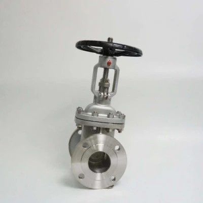 ANSI API 150Lb 300lb 3 Inch 4 Inch Y Type Manual Stainless Steel Flange Gate Valve