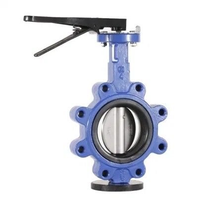 API609 EPDM Lined PTFE Cast Iron Lug Type Wafer Butterfly Valve for Customized Needs