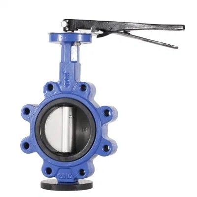 API609 EPDM Lined PTFE Cast Iron Lug Type Wafer Butterfly Valve for Customized Needs