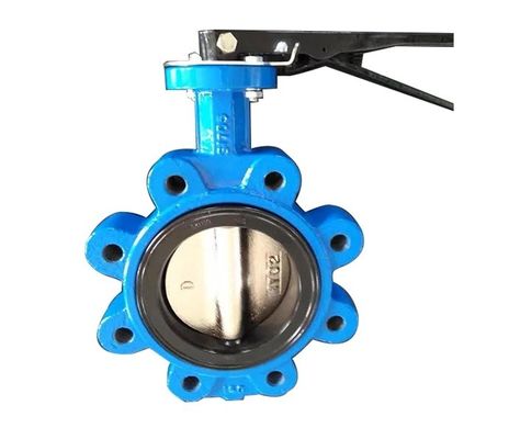 API609 EPDM Lined PTFE Cast Iron Lug Type Wafer Butterfly Valve for Customized Needs