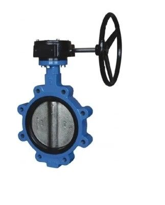 API609 EPDM Lined PTFE Cast Iron Lug Type Wafer Butterfly Valve for Customized Needs