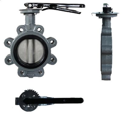 API609 EPDM Lined PTFE Cast Iron Lug Type Wafer Butterfly Valve for Customized Needs