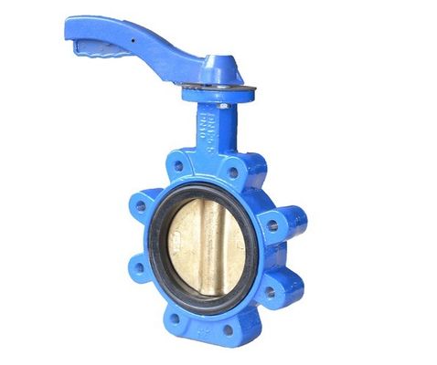 DN65 Electric Motor Operated Ductile Iron Butterfly Valve with Customized Service