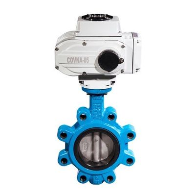 Cast Ductile Iron SS Lt Wafer Type Butterfly Valve with EPDM PTFE Sealing Ring Customized