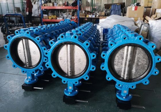 Cast Ductile Iron SS Lt Wafer Type Butterfly Valve with EPDM PTFE Sealing Ring Customized