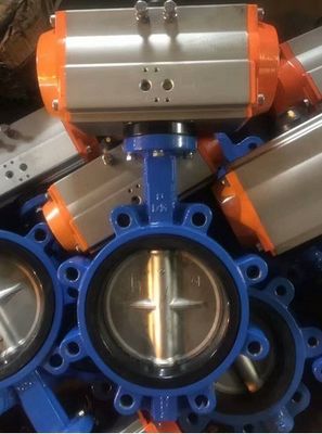 Cast Ductile Iron SS Lt Wafer Type Butterfly Valve with EPDM PTFE Sealing Ring Customized