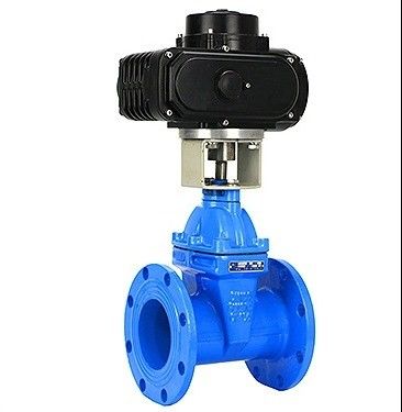 Customized Port Size HT200 Cast Iron Flange Type Gate Valve with Ductile Iron Handwheel