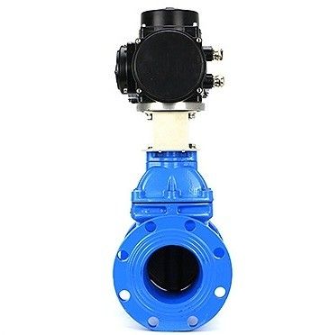 Customized Port Size HT200 Cast Iron Flange Type Gate Valve with Ductile Iron Handwheel