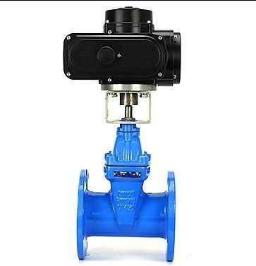 Customized Port Size HT200 Cast Iron Flange Type Gate Valve with Ductile Iron Handwheel