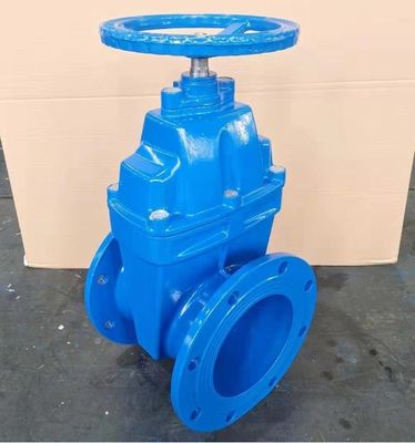 Customized DN80 DN150 DN200 DN400 DN500 Metal Seat Gate Valve with Y Type Strainer