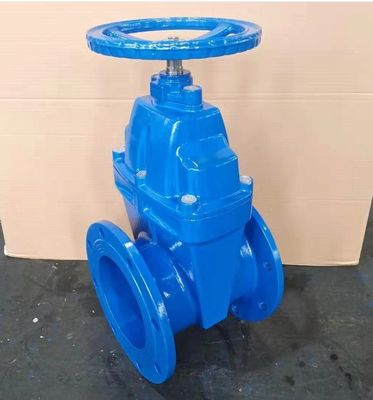 Customized DN80 DN150 DN200 DN400 DN500 Metal Seat Gate Valve with Y Type Strainer