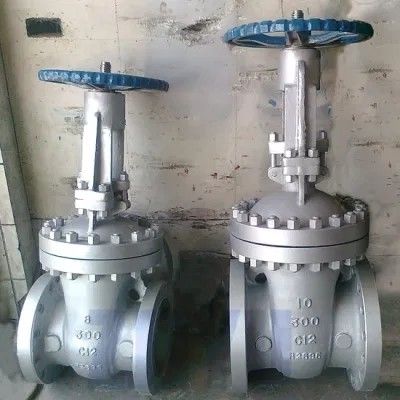 API 600 150LB CF8M Stainless Steel Flanged Gate Valve for Water Media Y Type Structure