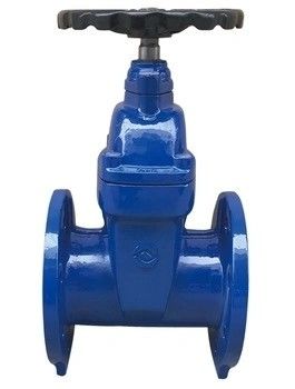 Gate Valves Structure Y type ANSI API 150Lb 300lb 20 Inch Carbon Steel Flange Forged Steel