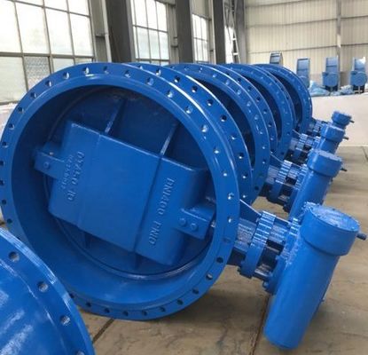 Customized Double Flanged Concentric Eccentric Butterfly Valve for Optimal Performance