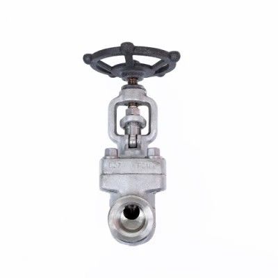 Standard Specification Gate Valve Drain Valve Customized for Your Industry Standards