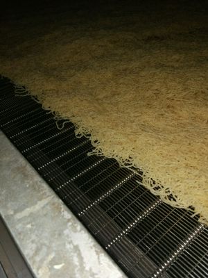 Continuous Band Drying Equipment for Gelatin Production Customized Design