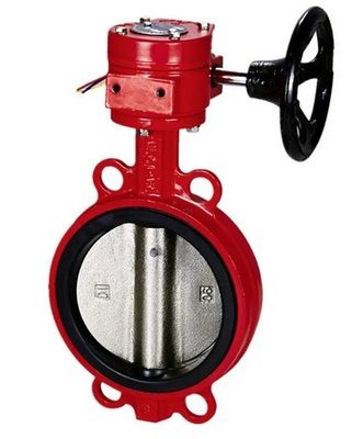 Cast Iron DI Manual Control Wafer Butterfly Valve and Fitting with Customized Service