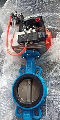 Cast Iron DI Manual Control Wafer Butterfly Valve and Fitting with Customized Service
