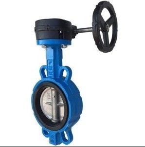 Cast Iron DI Manual Control Wafer Butterfly Valve and Fitting with Customized Service