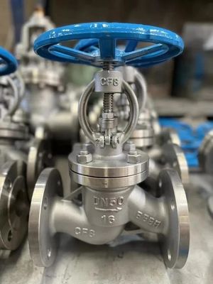 Excellent Stainless Steel Industrial Pipe Release Valves with OBM Customized Support