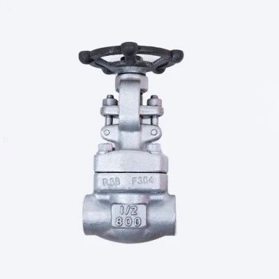 Excellent Customized Cast Iron High Temperature Release Valve for Extreme Conditions