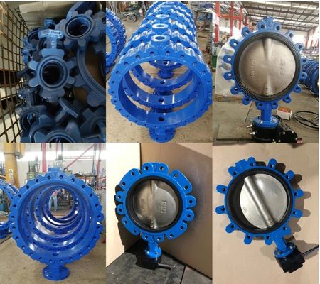Customizable Stainless Steel Butterfly Valve with After-Sales Support and OEM Options