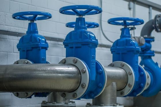 Rubber Gate Valve Parts for Valves and Fittings Customized to Meet Your Specifications