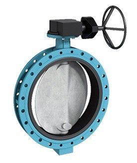 Wcb Body EPDM Seated Wafer/Lug Butterfly Valve with Customized Support and Port Size