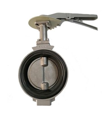 Port Size with Customer's Requirements Sea Water Butterfly Valve DN100 DN500 2&quot; 4