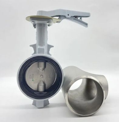 Port Size with Customer's Requirements Sea Water Butterfly Valve DN100 DN500 2&quot; 4