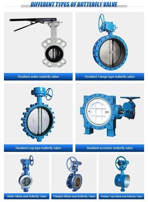 Medium Temperature Double Flange Metal Seated Butterfly Valve