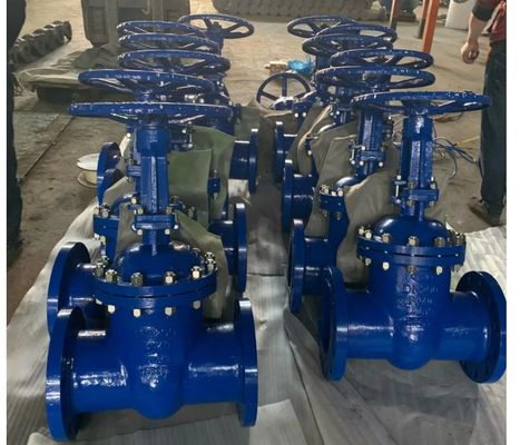 3 Inch CF8 Stainless Steel Flange Gate Valve with Y Type Strainer and Manual Control