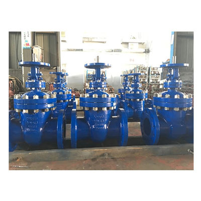 3 Inch CF8 Stainless Steel Flange Gate Valve with Y Type Strainer and Manual Control
