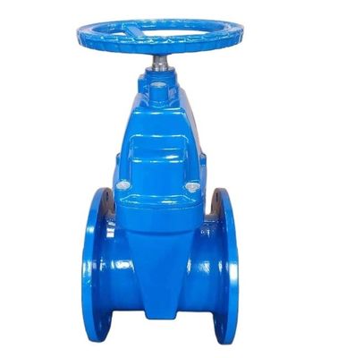 Y Type DN40-DN1200 High Pressure Stainless Steel Gas Valve Pn16 Pn10 Z41 Gate Valve