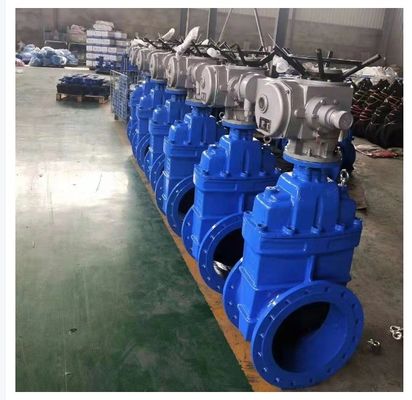 Rubberized Wedge Flange Gate Valve Cast Iron Body for Durability and Reliability