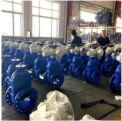 Rubberized Wedge Flange Gate Valve Cast Iron Body for Durability and Reliability