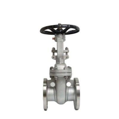 Manual Operation 3 Inch CF8 Stainless Steel Flange Gate Valve with Customized Support