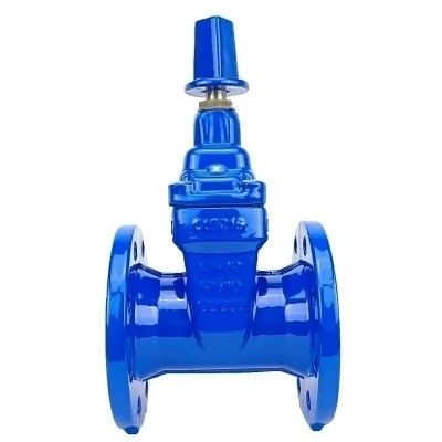 DN80 DN200 Y Type Strainer for HDPE Pipe PN16 Ductile Iron Carbon Steel Gate Valve