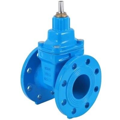 Durable Rubber Seal Cast Iron and Stainless Steel Gate Valve with Customized Port Size