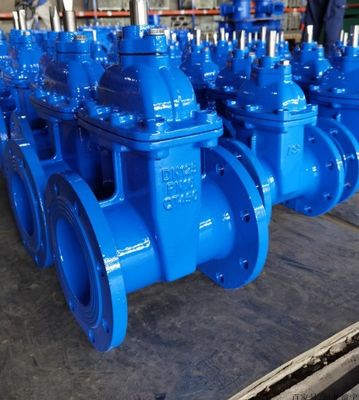 Durable Rubber Seal Cast Iron and Stainless Steel Gate Valve with Customized Port Size