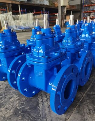 Stainless Steel Gate Valve with Flanged Connection and Manual Operation